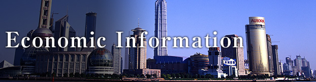 Economic Information