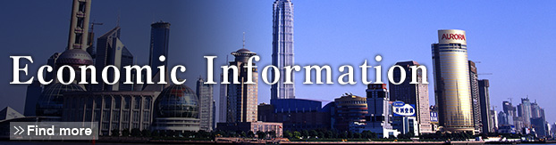 Economic Information