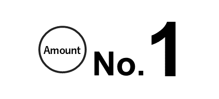 Amount No.1